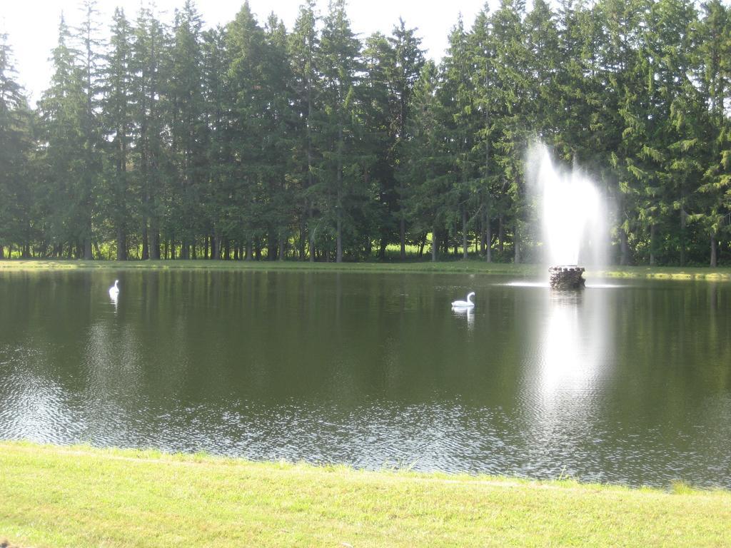 Fountain View Motel Richfield Springs Exteriör bild