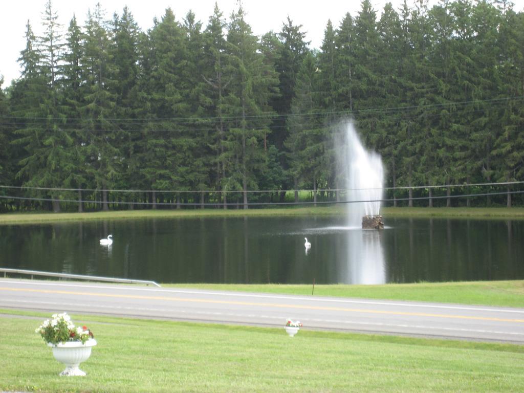 Fountain View Motel Richfield Springs Exteriör bild